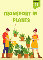 Transport in plants (1).pdf